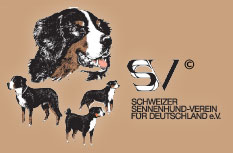 Logo SSV eV